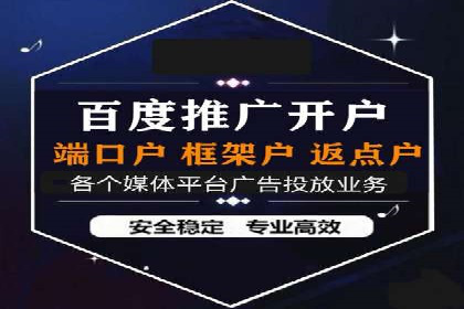 成功SEM专员案例分析
